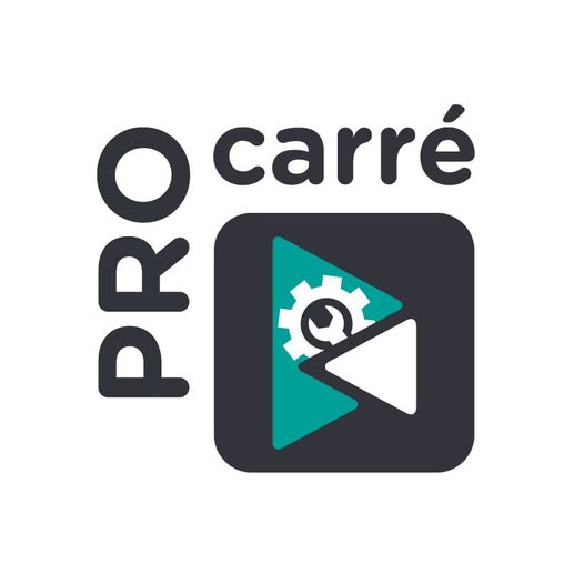 Logo PRO CARRE